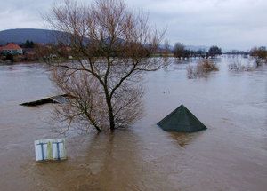 Flood dehumidifier